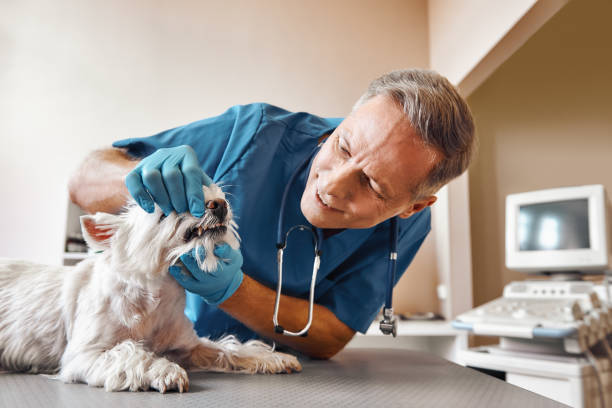Best Emergency Wisdom Tooth Extraction in Marceline, MO
