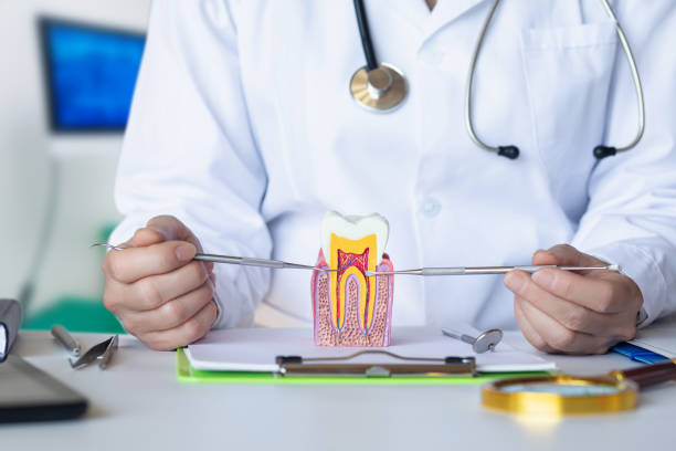Best 24-Hour Emergency Dental Care in Marceline, MO